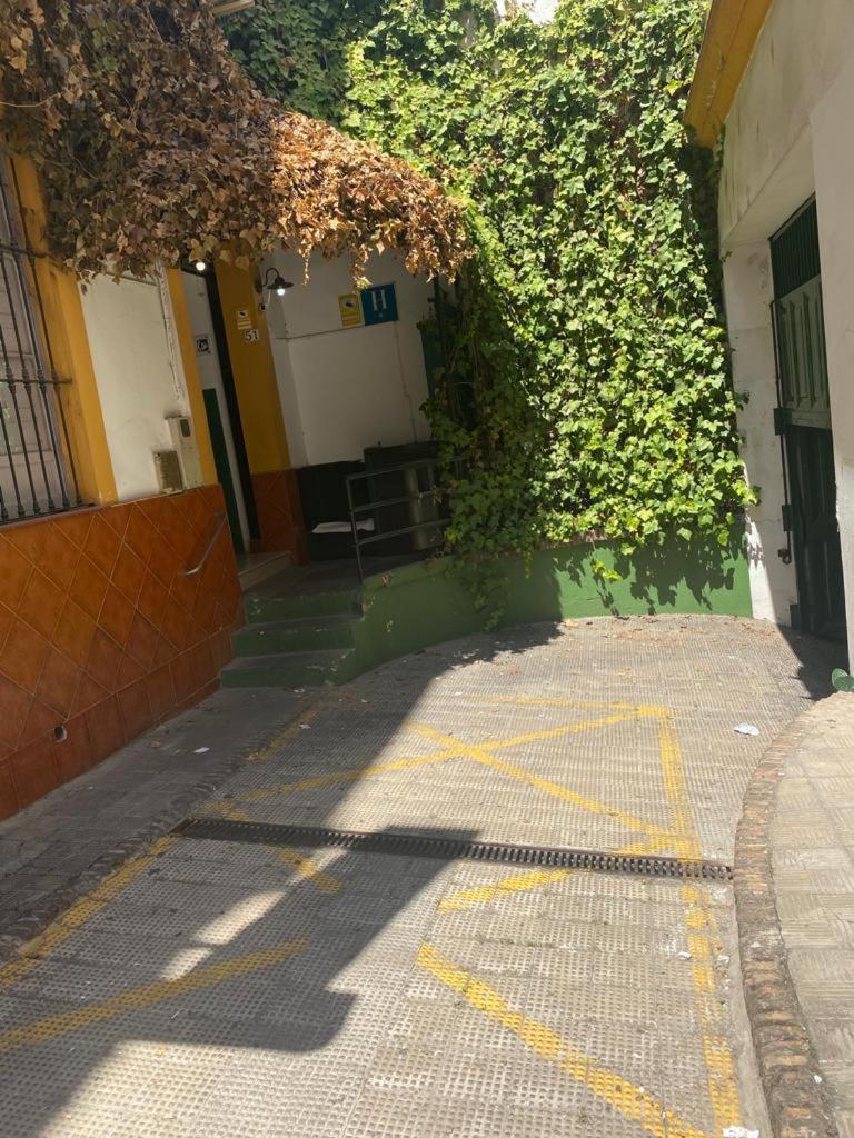 Rentalsevilla San Clemente Sevilha Exterior foto
