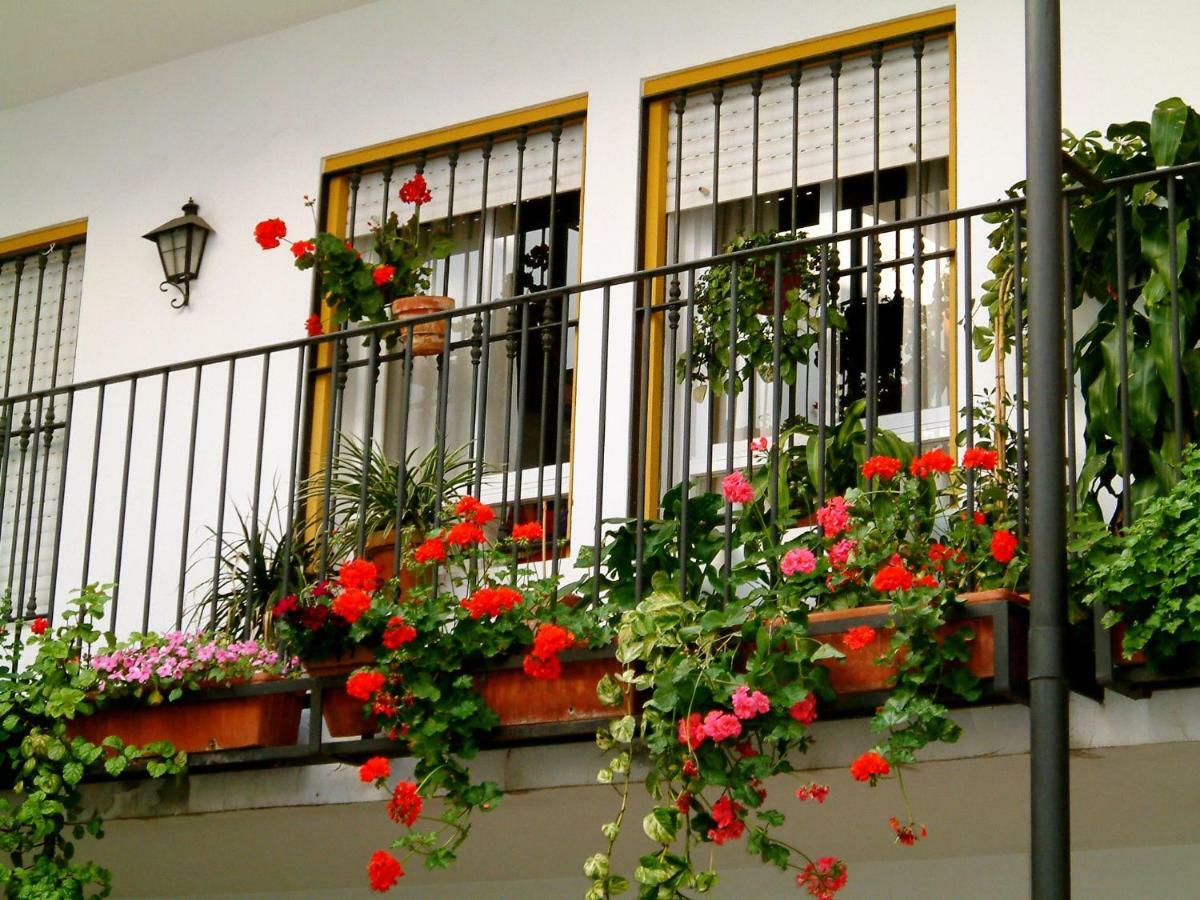 Rentalsevilla San Clemente Sevilha Exterior foto